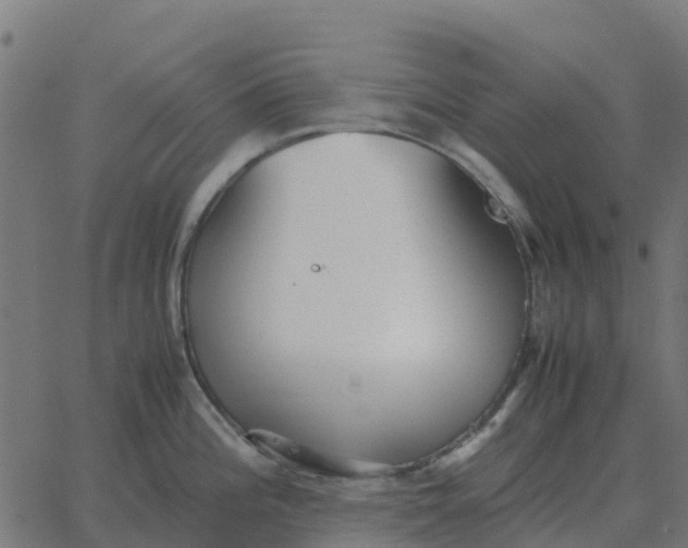 X0000067891196200604271818