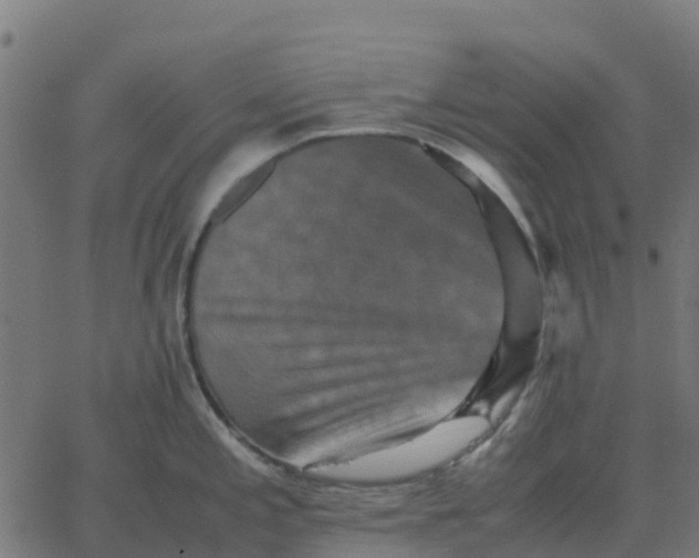 X0000067891197200604271818