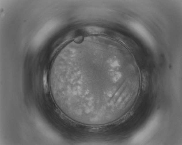 X0000067891198200604271818