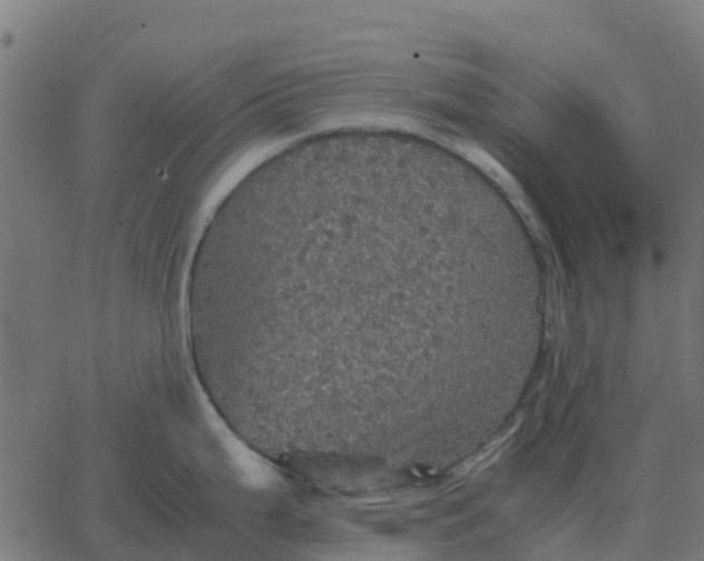 X0000067891199200604271818