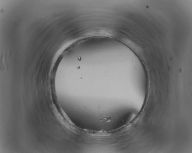 X0000067891200200604271818