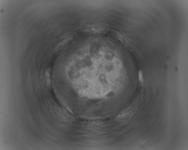 X0000067891203200604271817