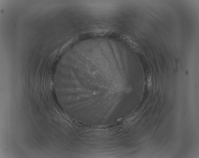 X0000067891204200604271817