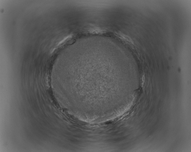 X0000067891205200604271818