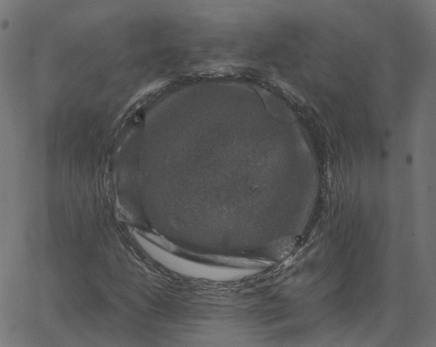 X0000067891206200604271818