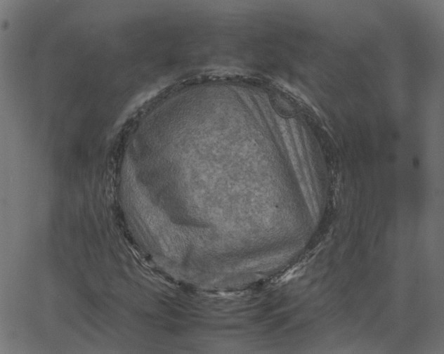 X0000067891207200604271818