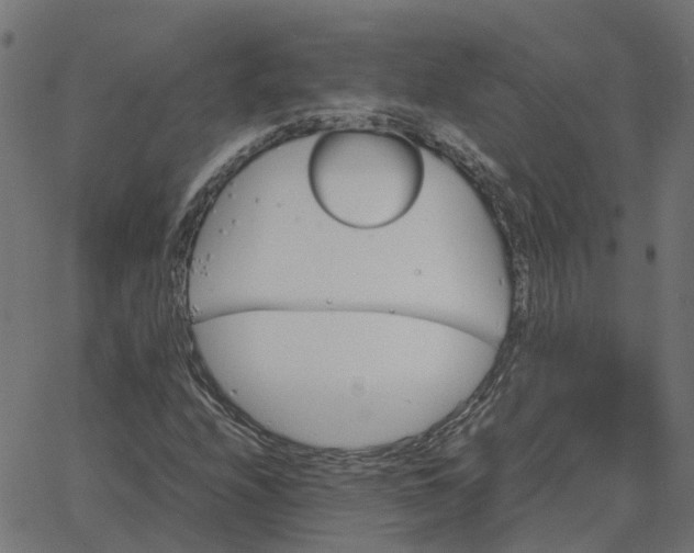 X0000067891208200604271818