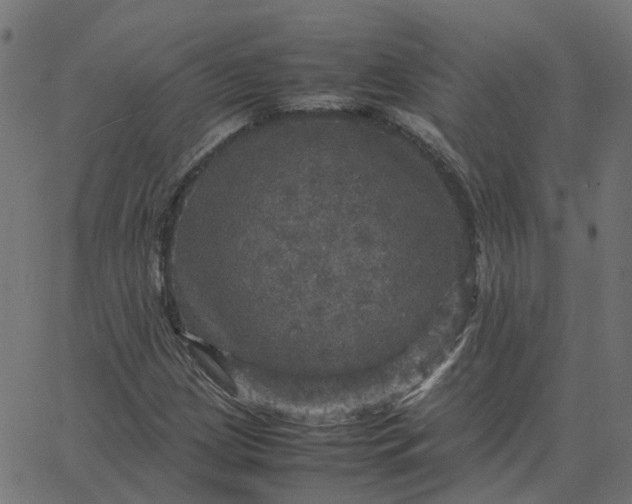 X0000067891209200604271818