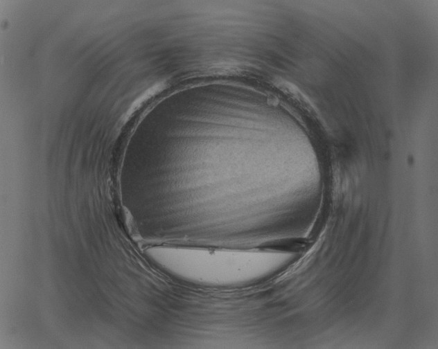 X0000067891210200604271818