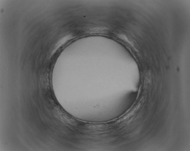 X0000067891211200604271818