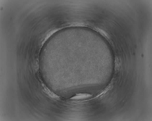 X0000067891212200604271818