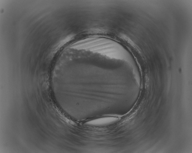 X0000067891213200604271818