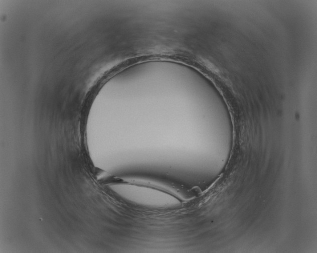 X0000067891214200604271818