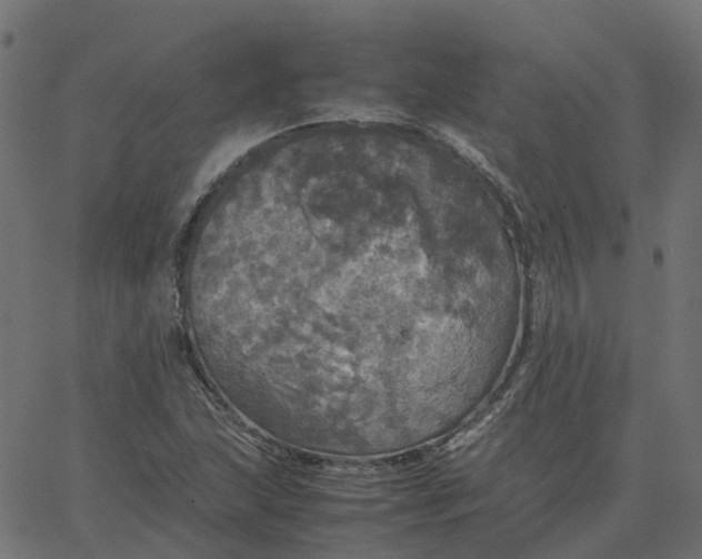 X0000067891215200604271818