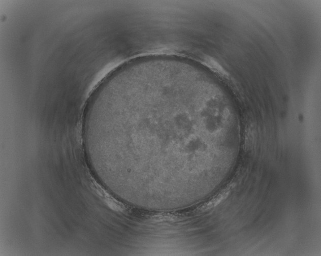 X0000067891216200604271818