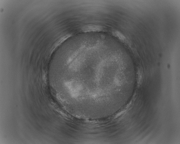 X0000067891217200604271818