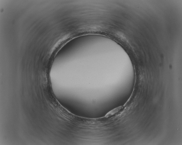 X0000067891218200604271818