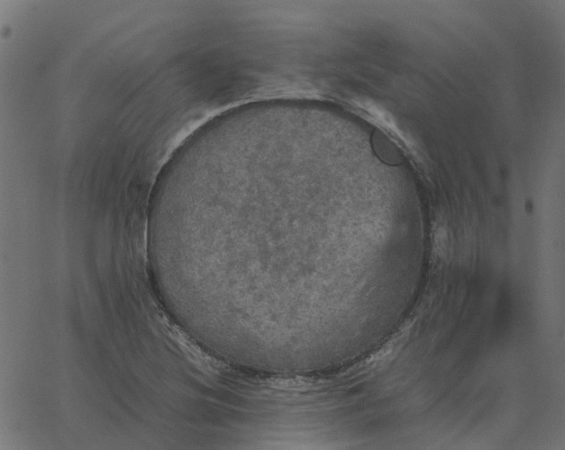 X0000067891220200604271818