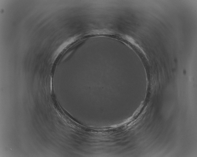 X0000067891221200604271818