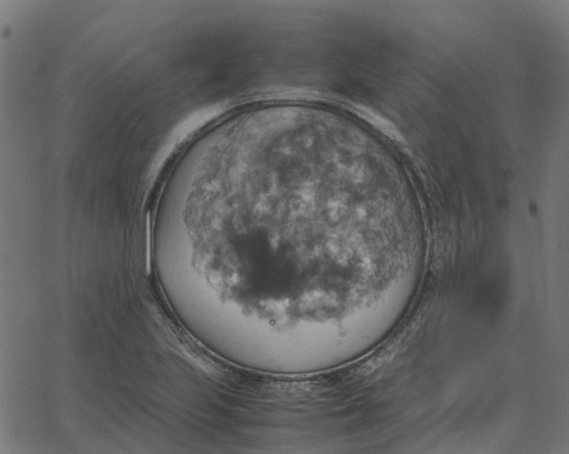 X0000067891223200604271818