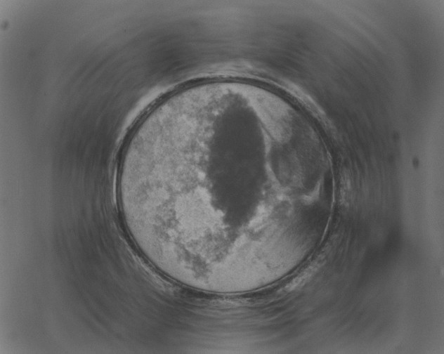 X0000067891224200604271818