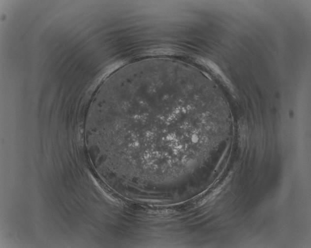 X0000067891225200604271818