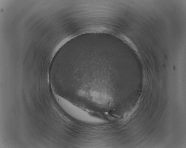 X0000067891226200604271818