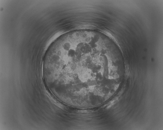 X0000067891227200604271818