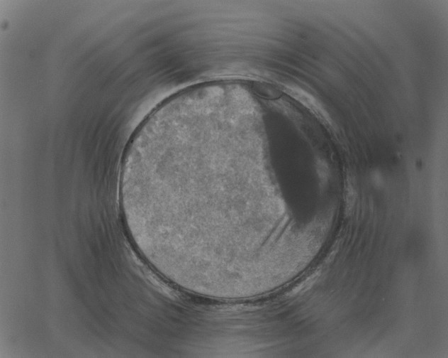 X0000067891228200604271818