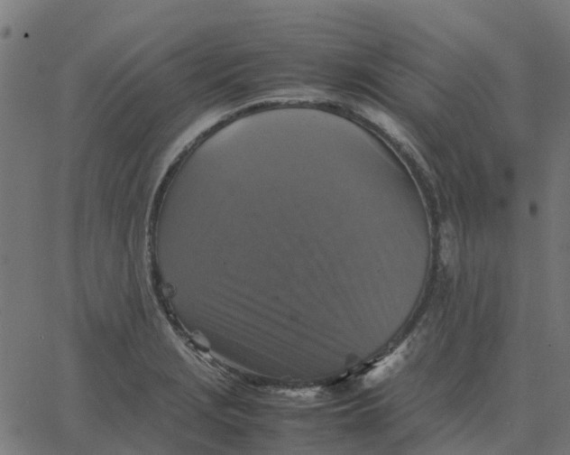 X0000067891229200604271818