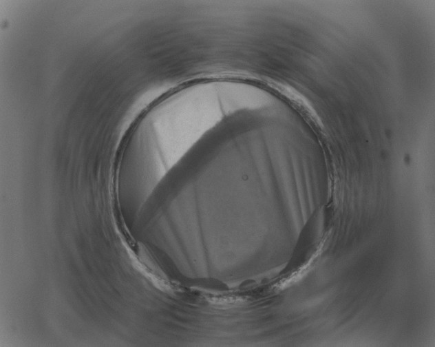 X0000067891231200604271818