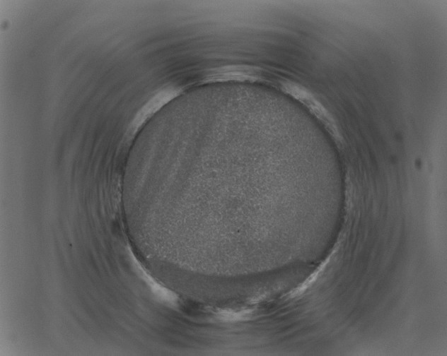 X0000067891233200604271818