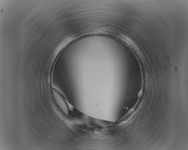 X0000067891234200604271818