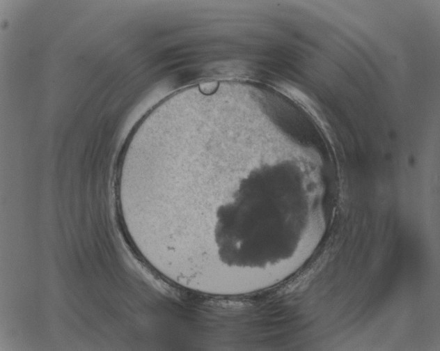 X0000067891235200604271818