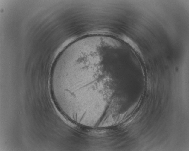 X0000067891237200604271818