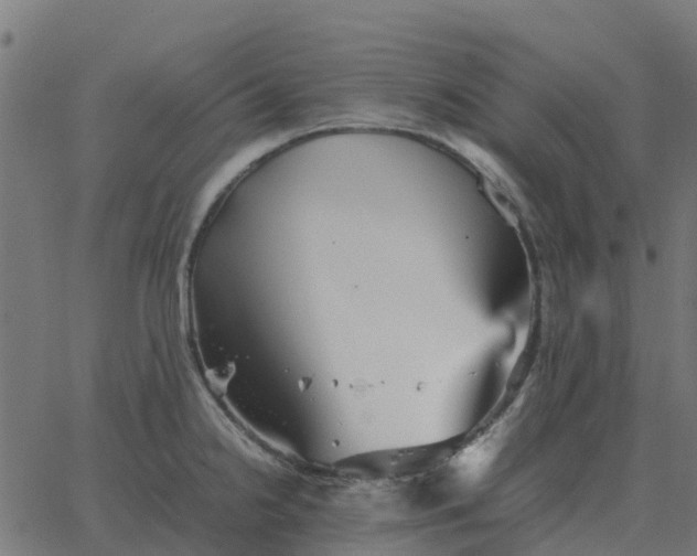 X0000067891238200604271818