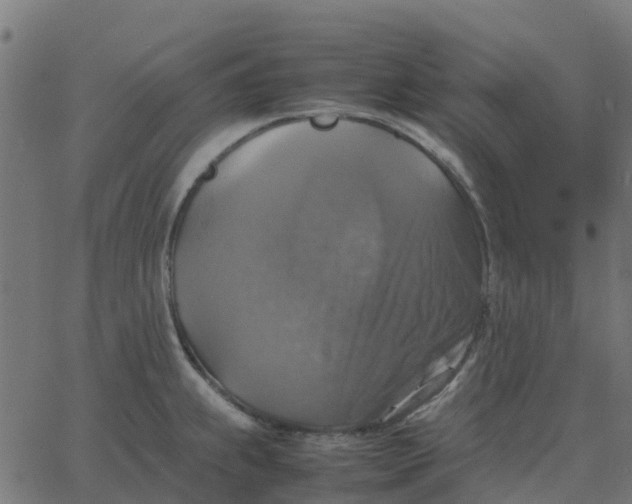 X0000067891239200604271818