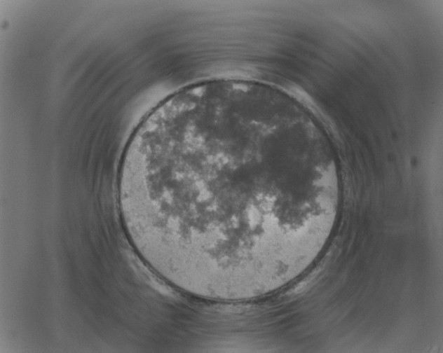 X0000067891240200604271818