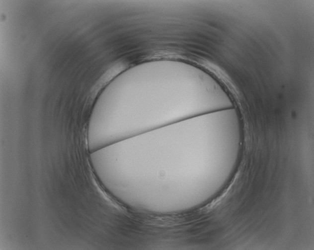 X0000067891241200604271818