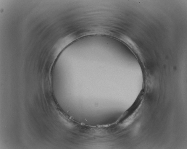 X0000067891242200604271818