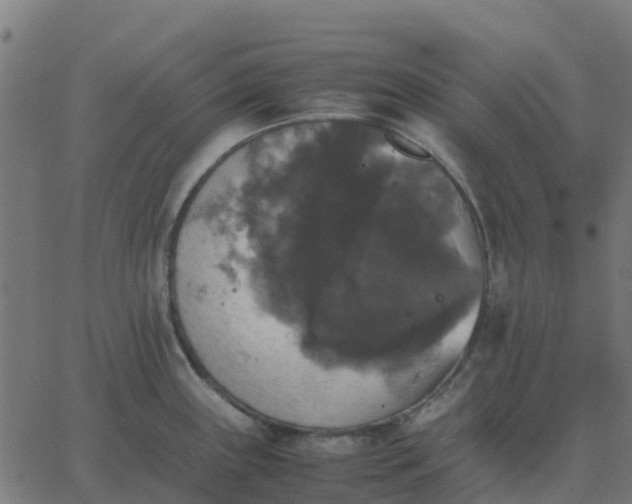 X0000067891243200604271818