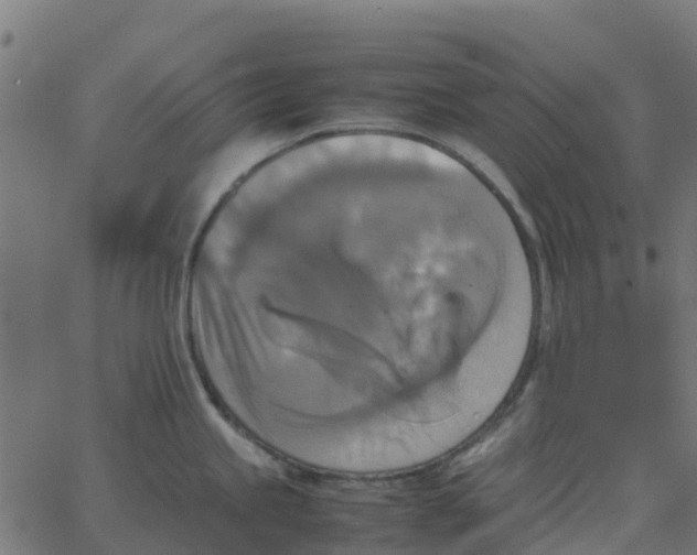 X0000067891245200604271818