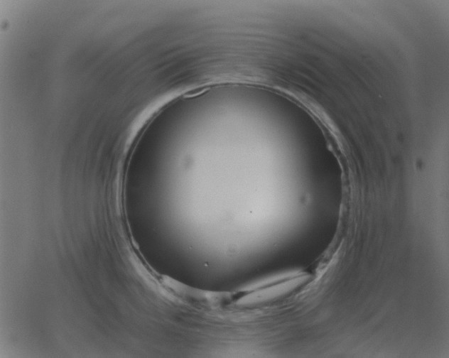 X0000067891246200604271818