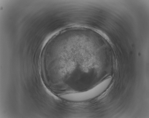 X0000067891247200604271818