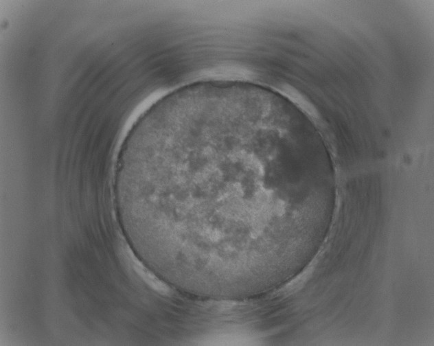 X0000067891248200604271818