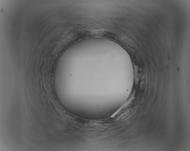 X0000067891249200604271817