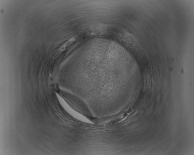 X0000067891250200604271817