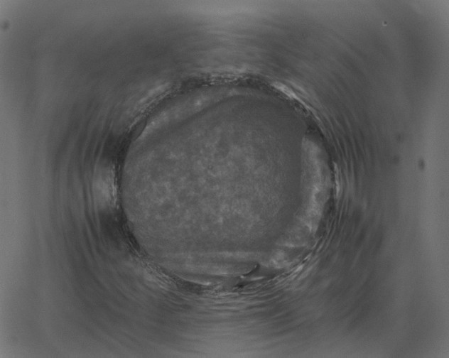 X0000067891252200604271817