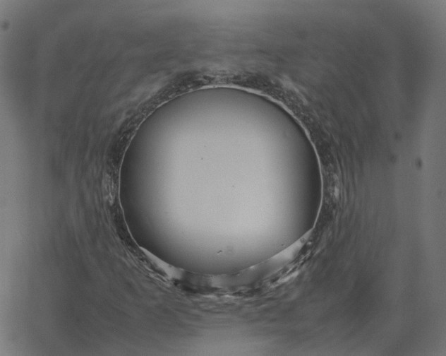 X0000067891253200604271817