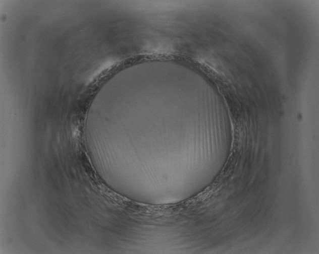 X0000067891254200604271817